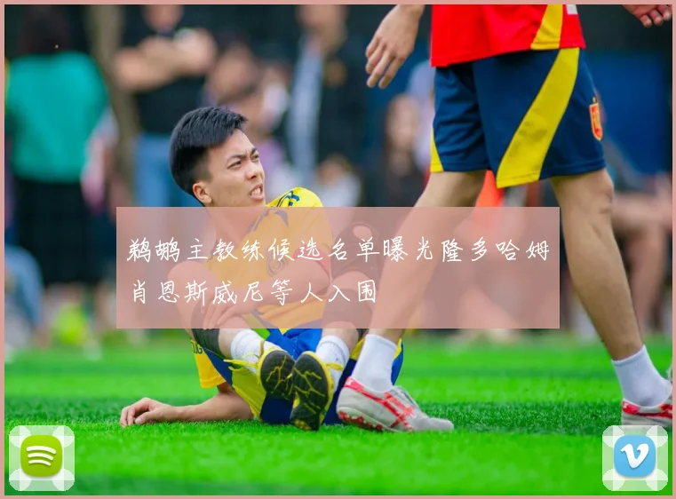 鹈鹕主教练候选名单曝光隆多哈姆肖恩斯威尼等人入围