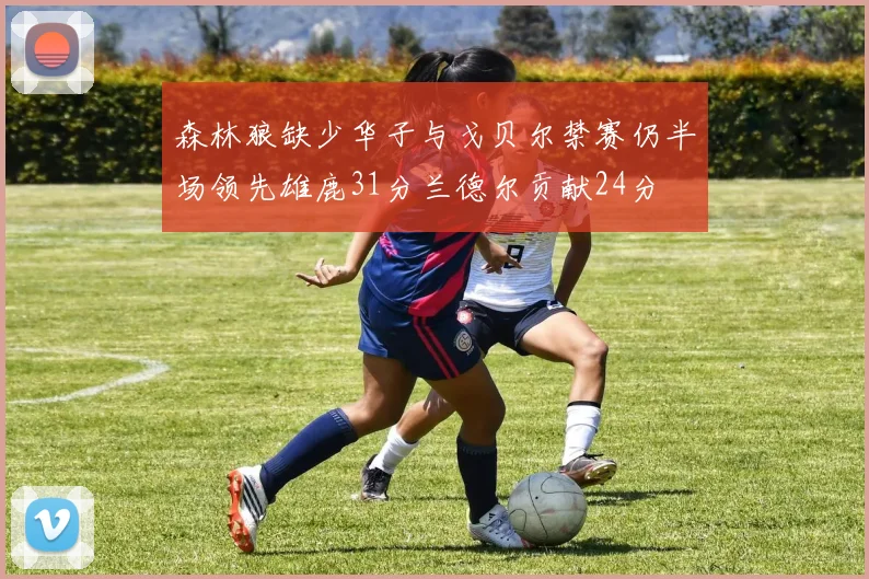 森林狼缺少华子与戈贝尔禁赛仍半场领先雄鹿31分兰德尔贡献24分