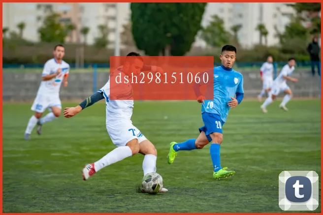 dsh298151060